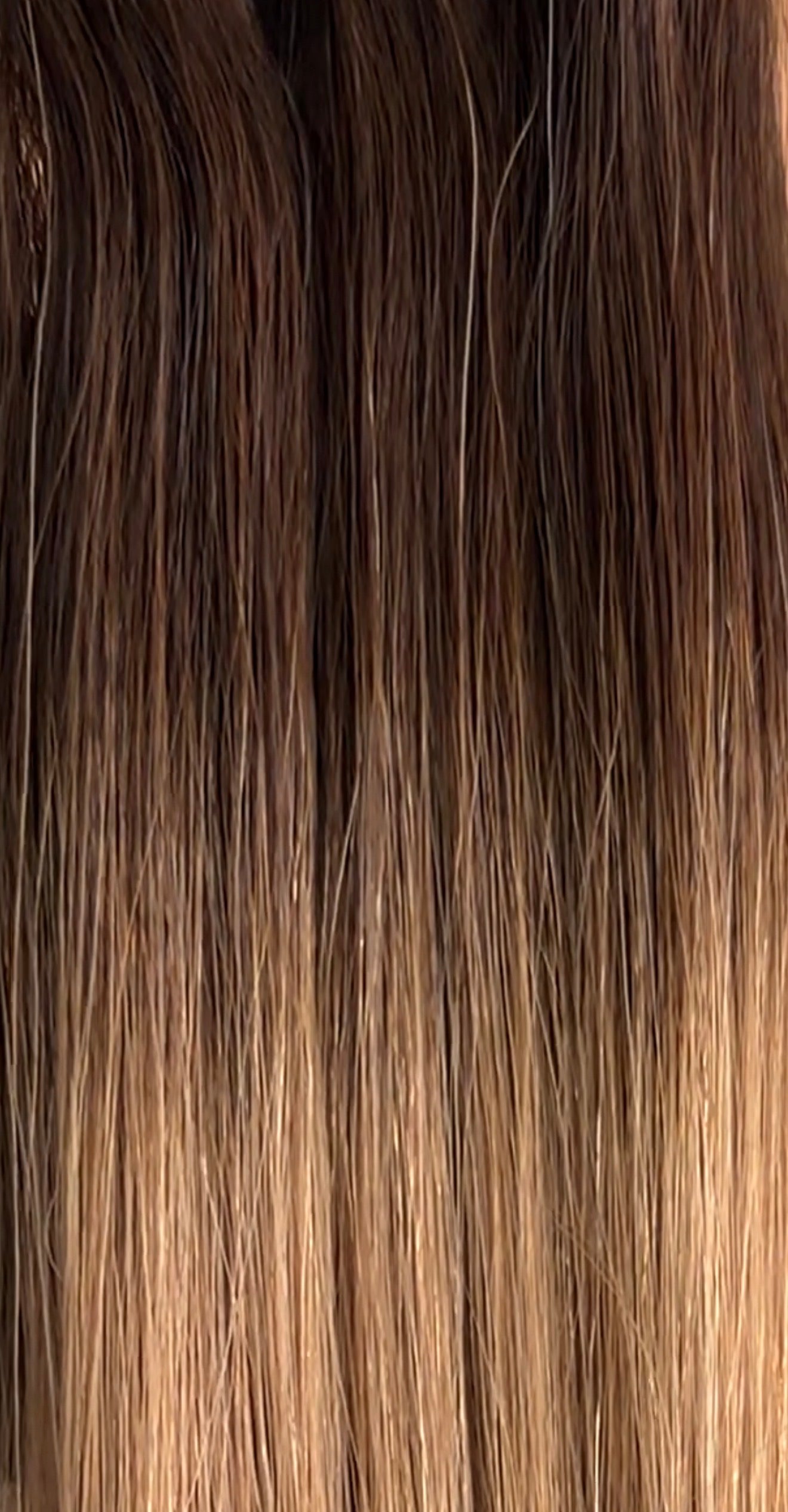 Rooted Honey Blonde Bundle
