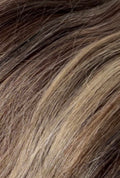 Cool Balayage Ash Bundle