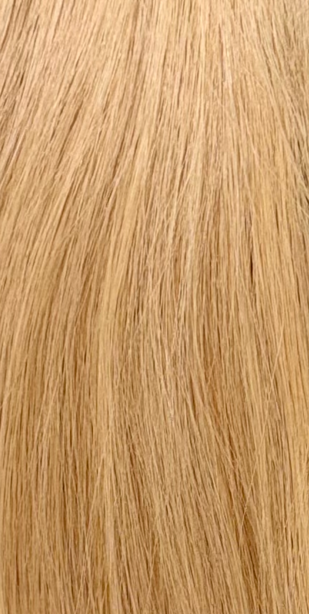 Blonde Bundle