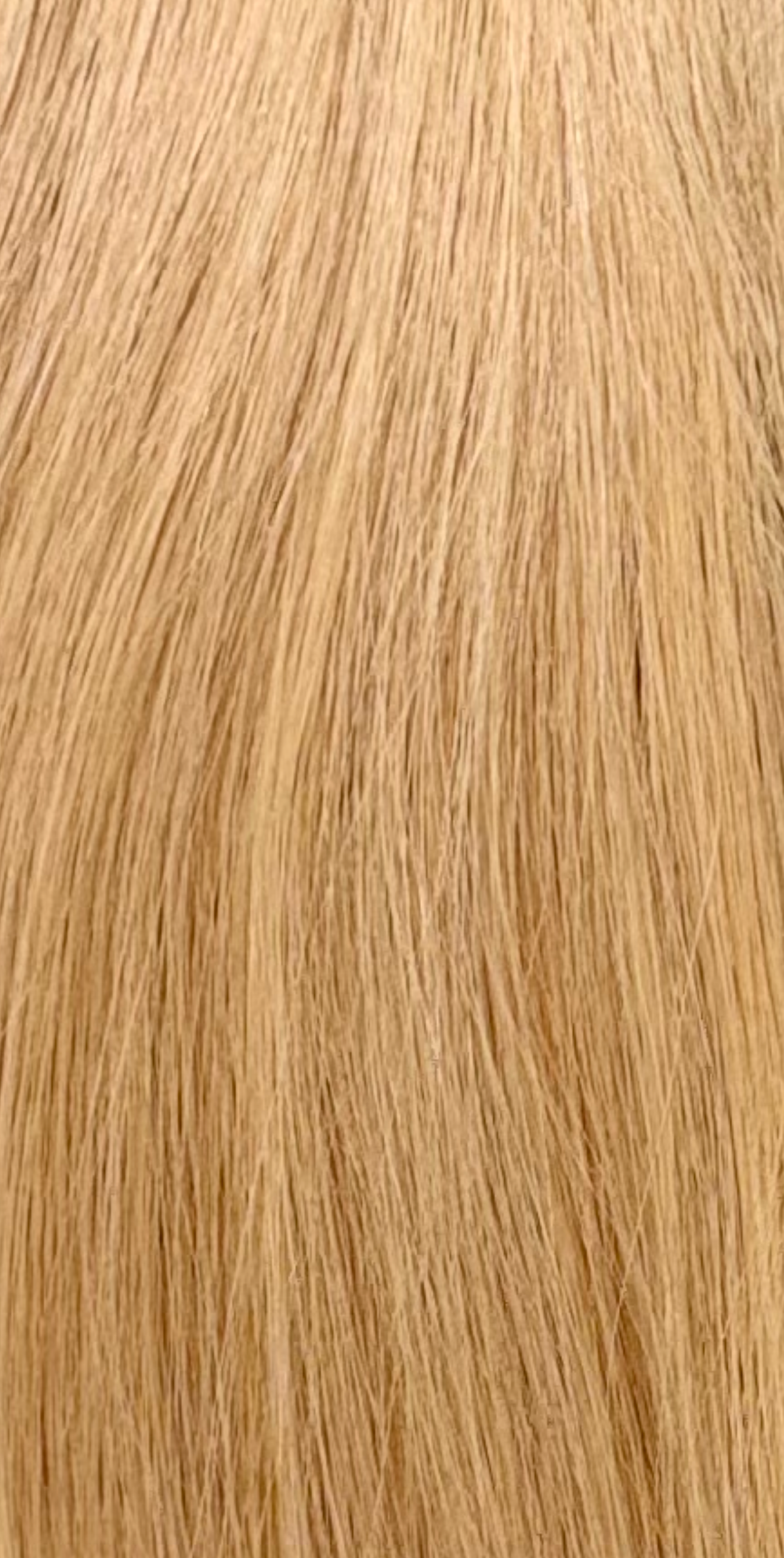 Blonde Bundle