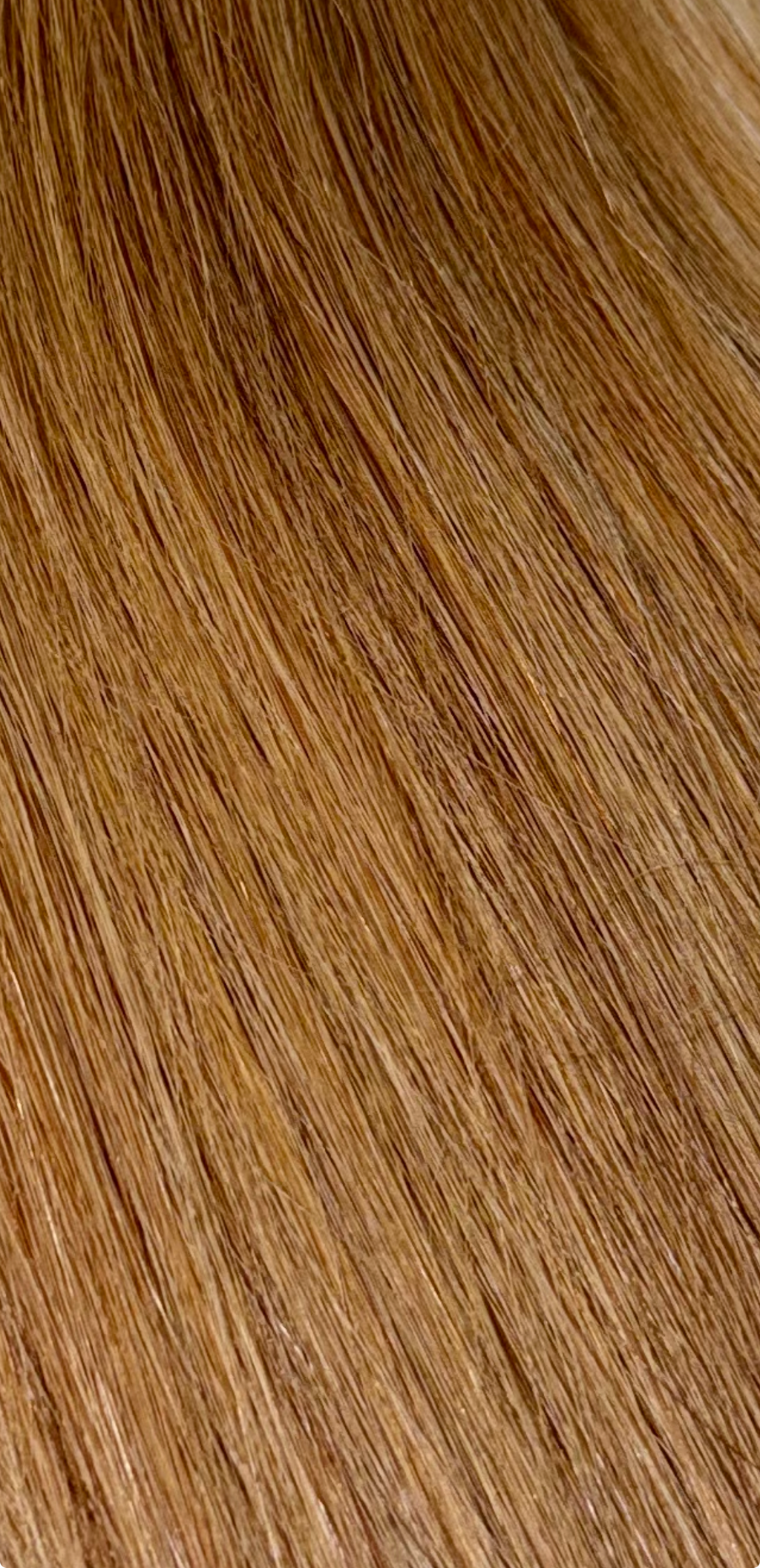 Light Blonde Bundle