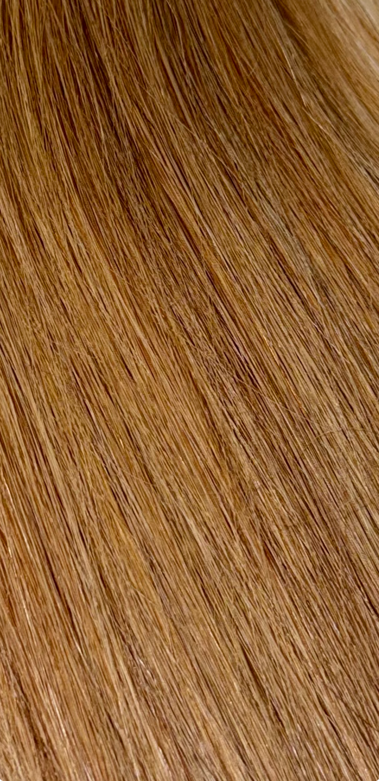 Light Blonde Bundle