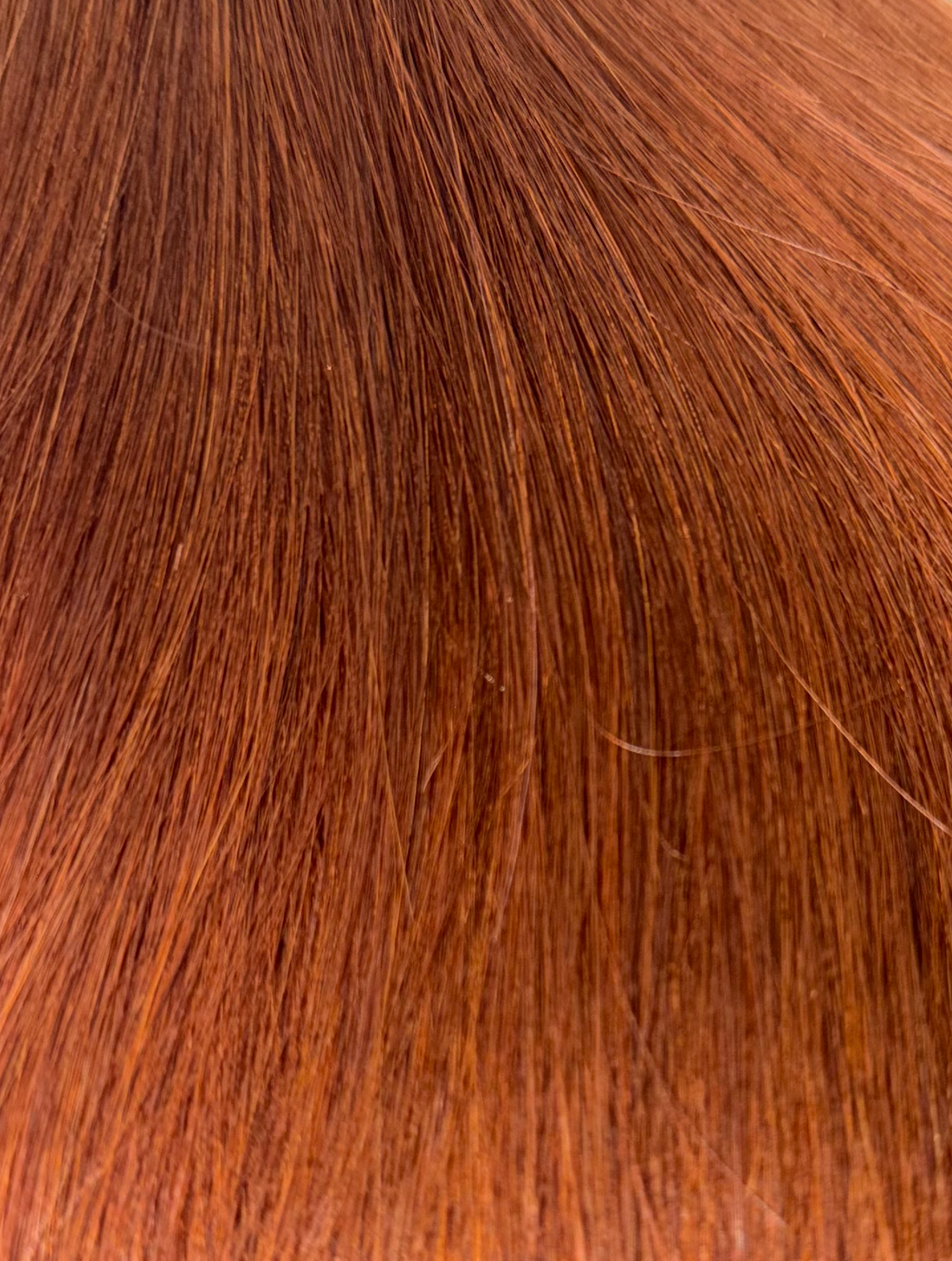Ginger Bundle #33