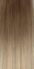 Rooted Ivory Bundle