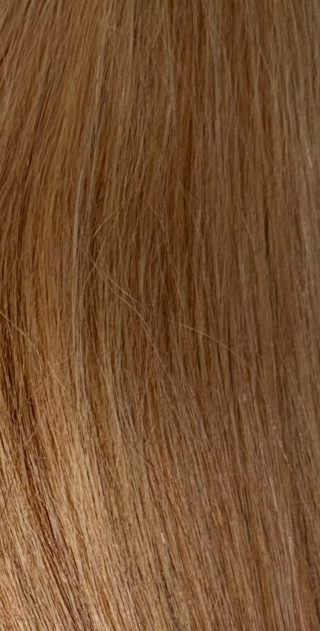 Honey Blonde Bundle