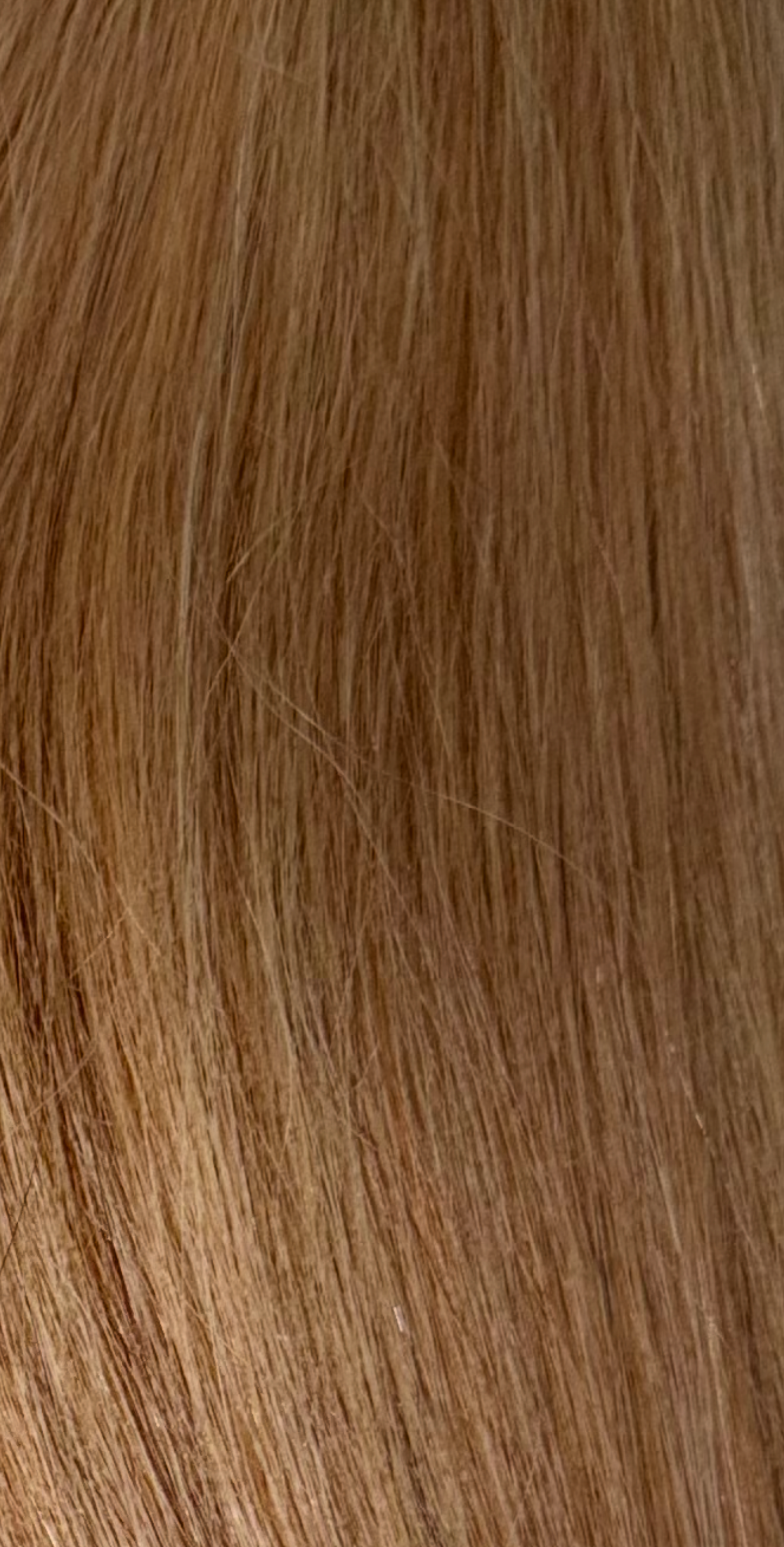 Honey Blonde Bundle