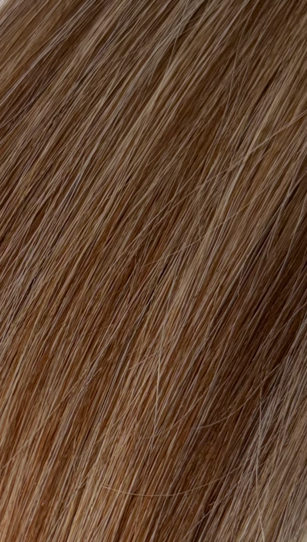Brown Highlighted Bundle